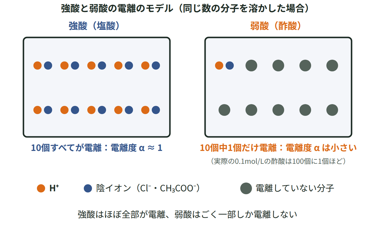 同じ数の分子を溶かした強酸と弱酸で、H⁺と陰イオンに電離した分子の割合の違いを粒子モデルで比べた図