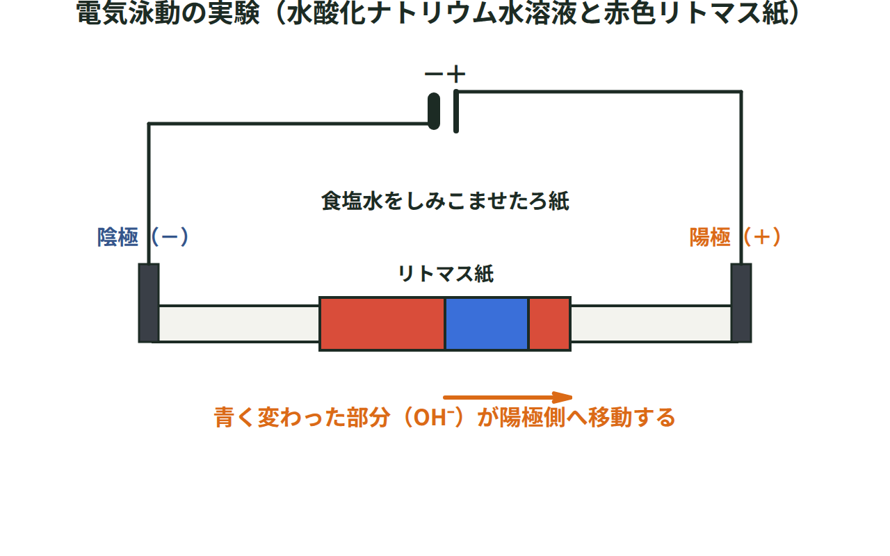 食塩水をしみこませたろ紙に置いた赤色リトマス紙に水酸化ナトリウム水溶液をつけ、電圧をかけると青く変わった部分が陽極側へ動く電気泳動の実験の図