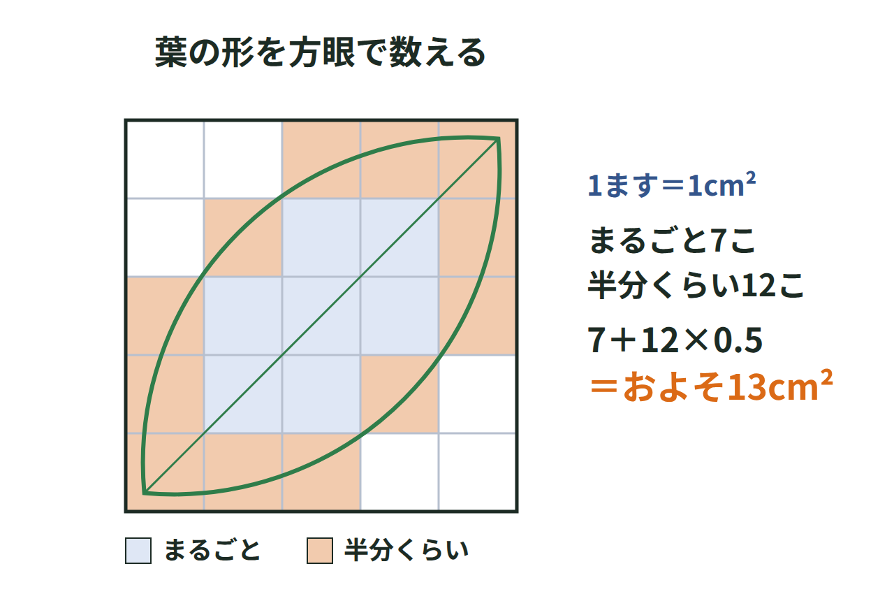 葉の形を1ます1cm²の方眼で、まるごと入るます7こ・半分くらいのます12こと数える図