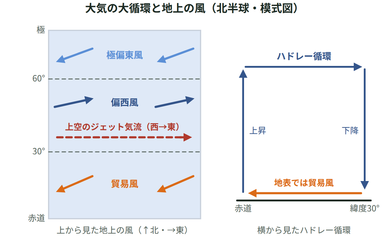 北半球の地上の風（東寄りの貿易風・西寄りの偏西風・東寄りの極偏東風）と上空のジェット気流を上から見た図と、赤道から緯度30度までのハドレー循環を横から見た断面図