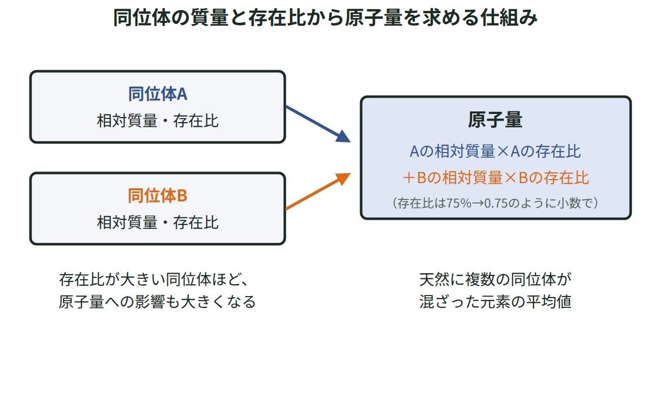 同位体ごとの相対質量と存在比をかけて足し合わせ、原子量という平均値を求める仕組みを示す図