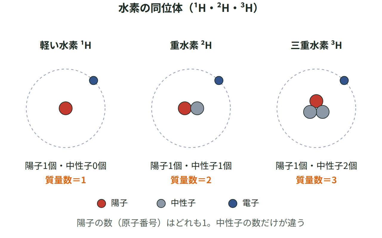 軽い水素・重水素・三重水素の3種類を並べ、陽子は1個のまま中性子が0・1・2個と増えて質量数が1・2・3になることを比べた図