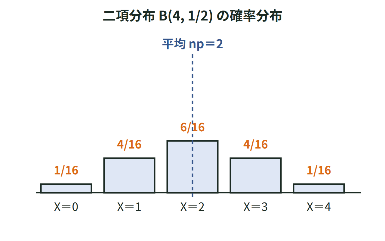 4枚の硬貨の表の枚数X＝0〜4に対応する確率1/16,4/16,6/16,4/16,1/16を棒の高さで表し、平均2の位置を示した図
