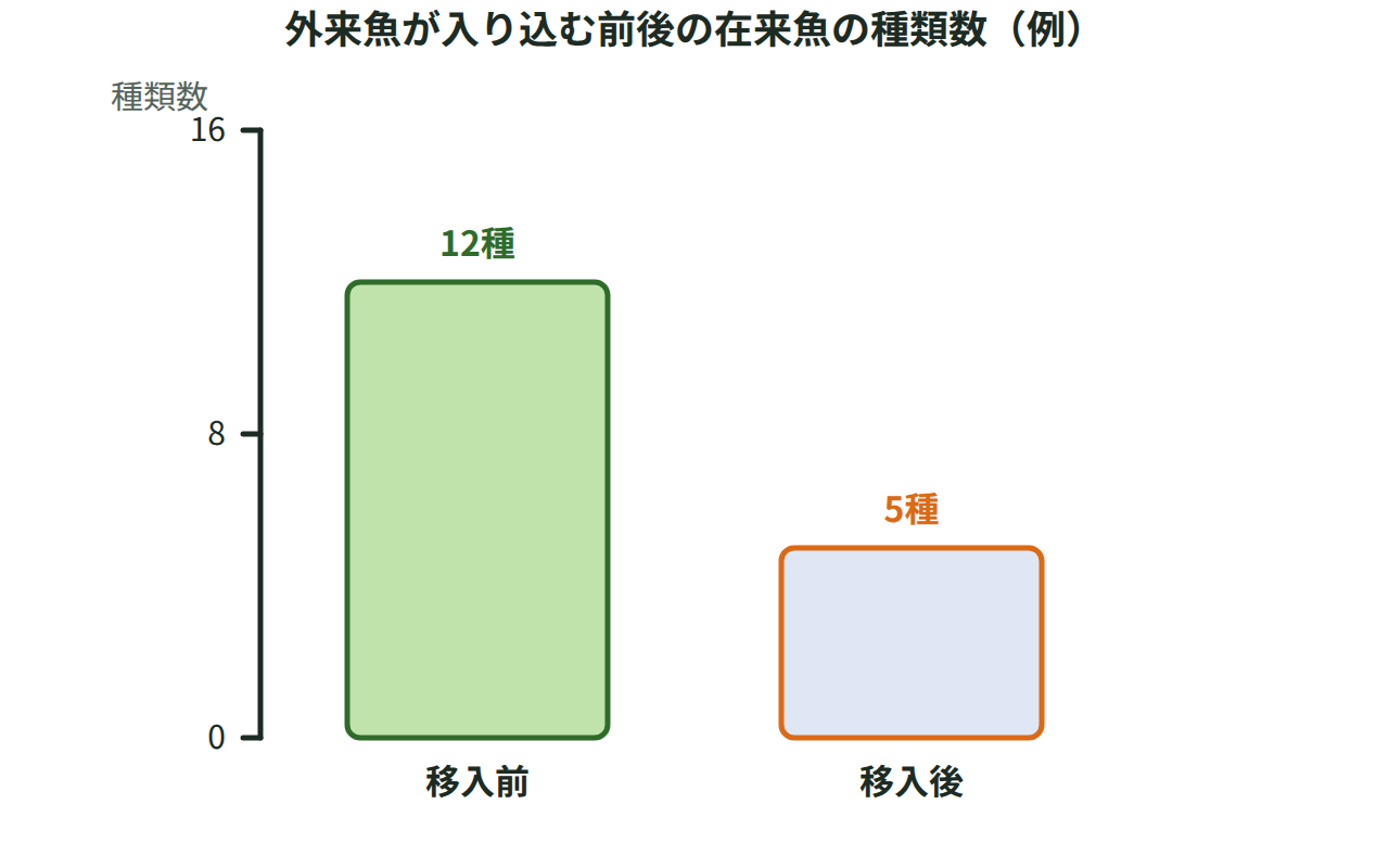 外来の魚が入り込む前と後で、池にすむ在来魚の種類数を棒グラフで比べ、入り込んだ後に大きく減ったことを示した図