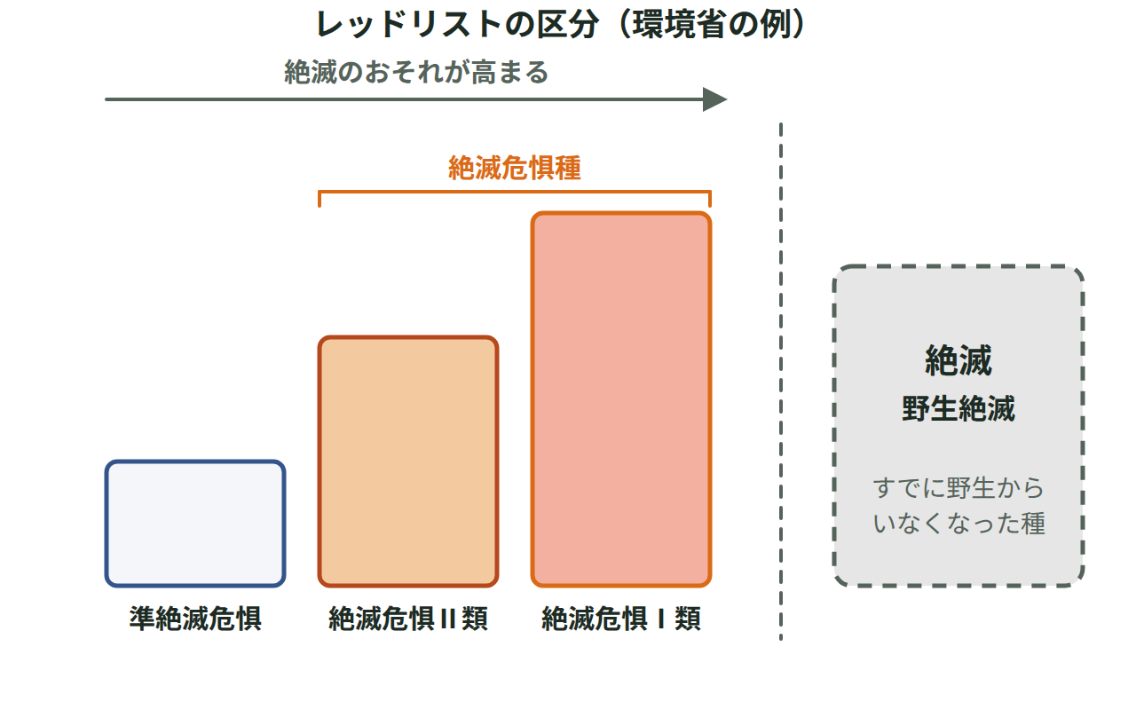 リスクが低い段階から高い段階まで、絶滅のおそれの大きさが上がっていく様子を4段の階段状の図で示したもの