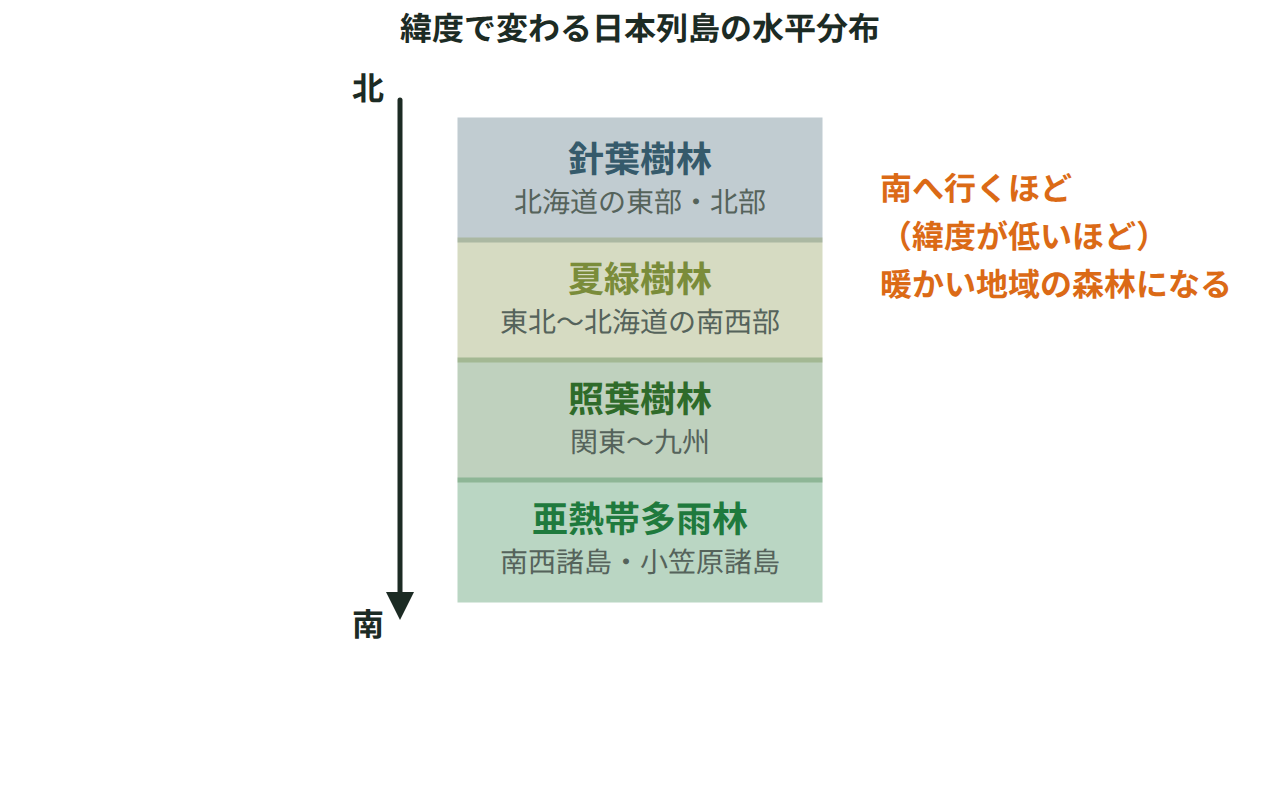 日本列島を北から南へ4つの帯に分け、針葉樹林・夏緑樹林・照葉樹林・亜熱帯多雨林の分布地域を並べた図