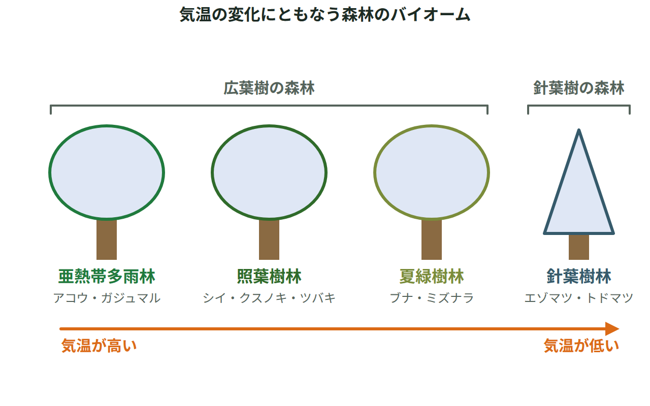 気温が高い側から低い側へ、亜熱帯多雨林・照葉樹林・夏緑樹林・針葉樹林の4つの森林を代表植物とともに並べた図