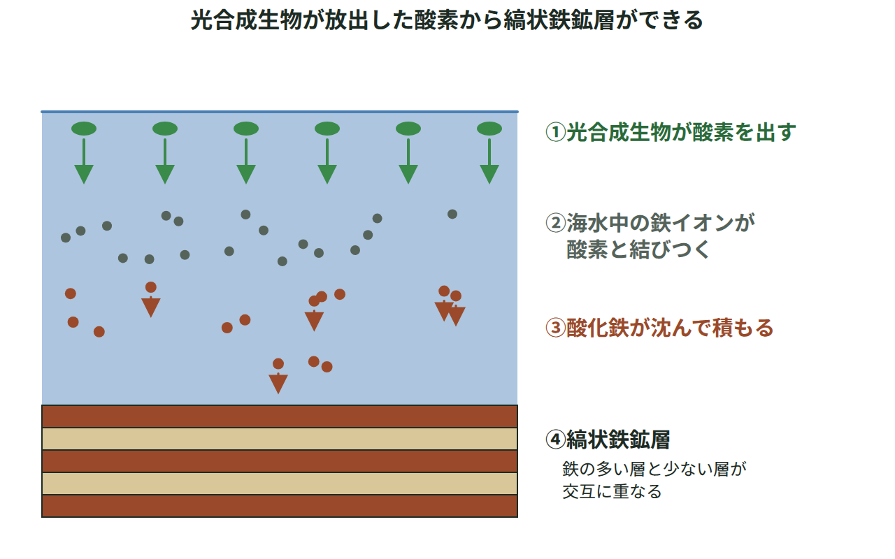 浅い海で光合成生物が酸素を放出し、海水中の鉄イオンと結びついて酸化鉄として海底に縞状に沈殿していく様子を描いた断面図