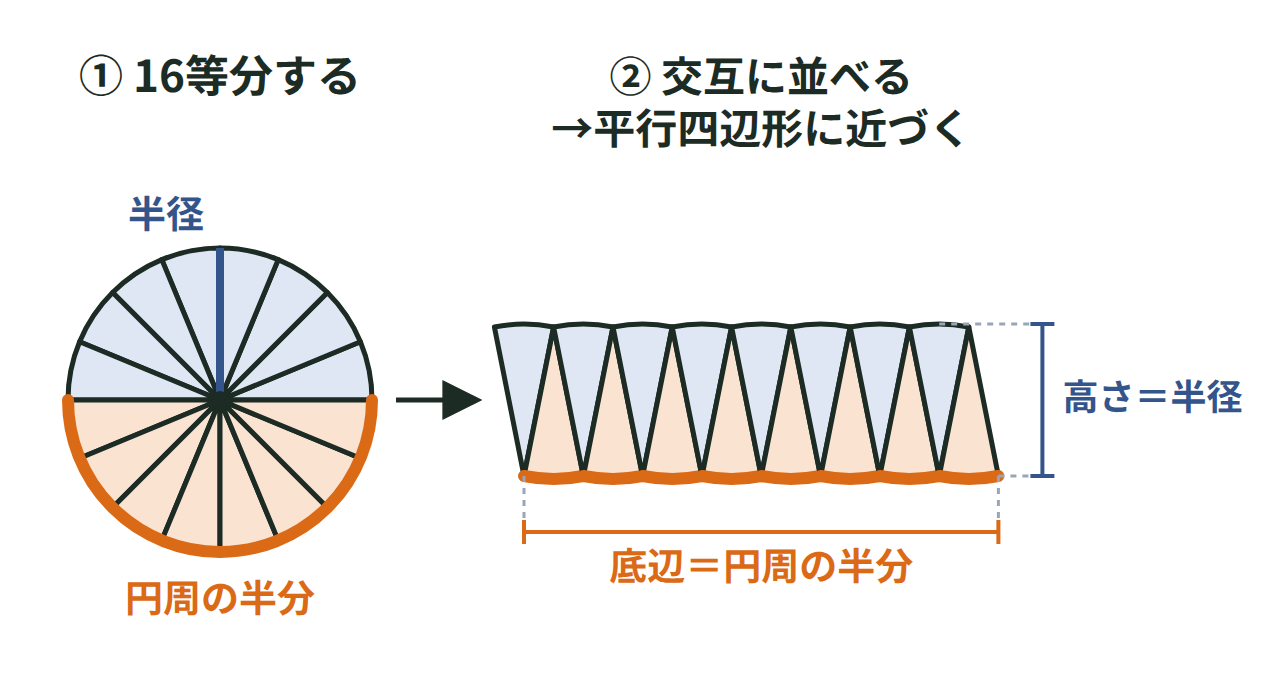 円を16等分して交互に並べかえると平行四辺形に近づく図。高さは半径、底辺は円周の半分を示す