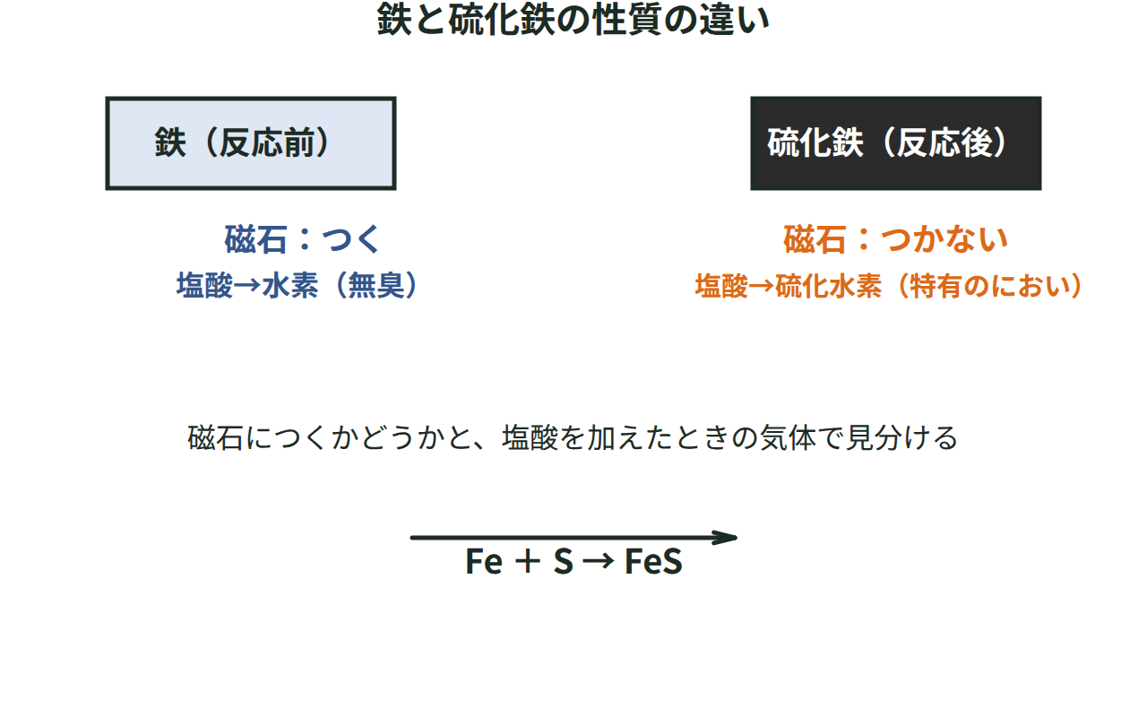 鉄と硫化鉄を磁石につくかどうか、塩酸を加えたときに出る気体（水素と硫化水素）で比べる図