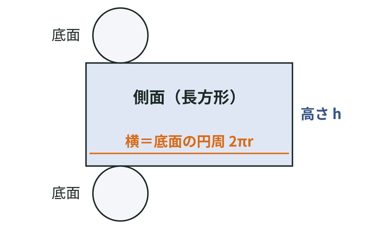 円柱の展開図。側面の長方形の横が底面の円周2πrに等しく、上下に底面の円が2つある