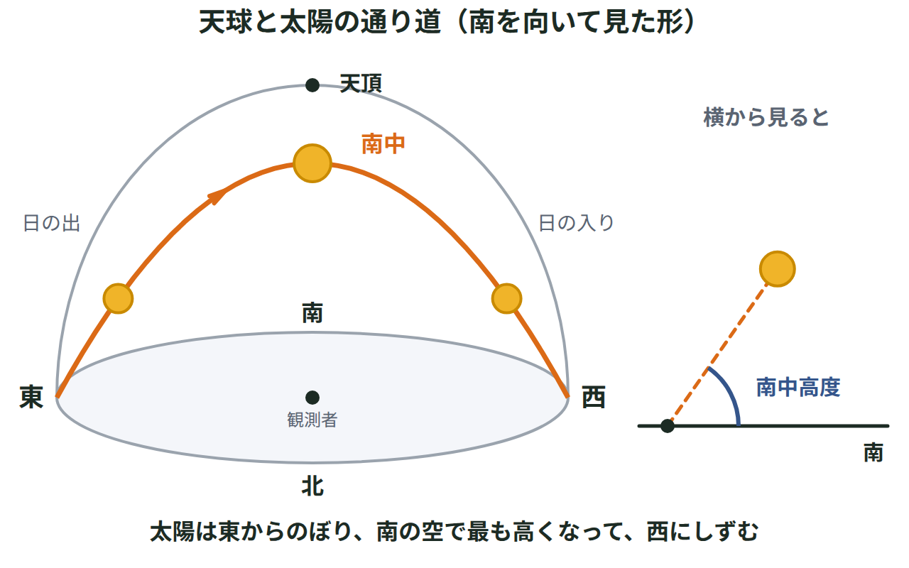 観測者を中心にした半球の天球に東西南北と天頂をかき、太陽が東からのぼって南の空で最も高くなり西にしずむ道すじと南中高度の角を示した図
