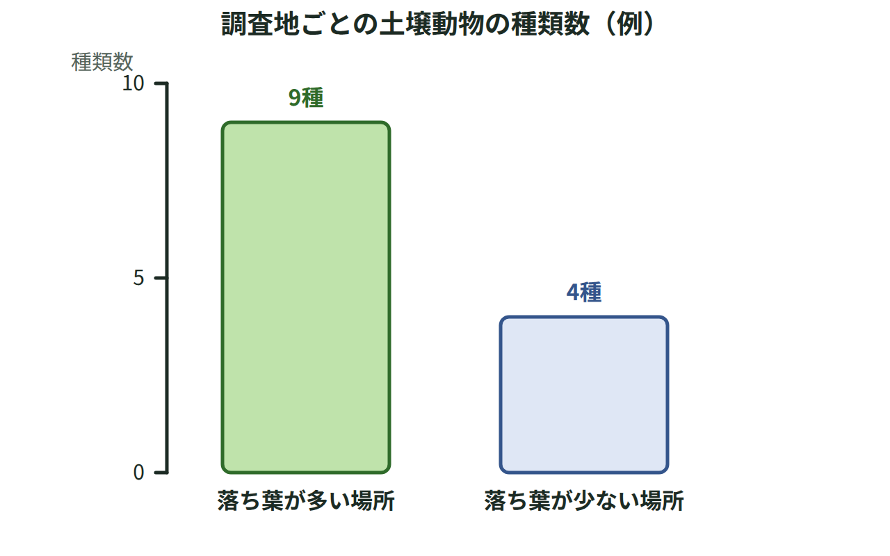 落ち葉が多い場所と少ない場所で見つかった土壌動物の種類数を棒グラフで比べ、落ち葉が多い場所の方が種類数が多いことを示した図