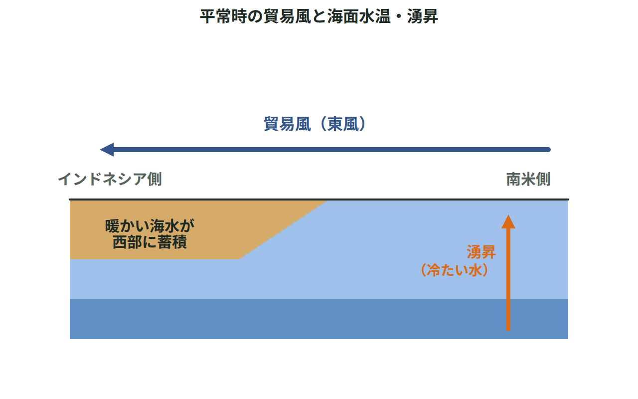 太平洋を横断する断面図で、貿易風が東から西へ吹き、西部に暖水、東部に湧昇が描かれた図