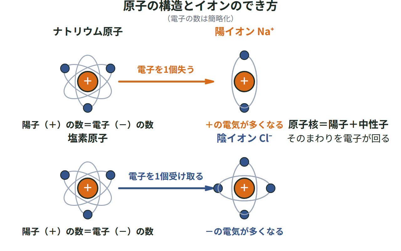 原子核（陽子・中性子）と電子からできた原子が、電子を失ったり受け取ったりして電気を帯びた粒子に変わる様子を示す図