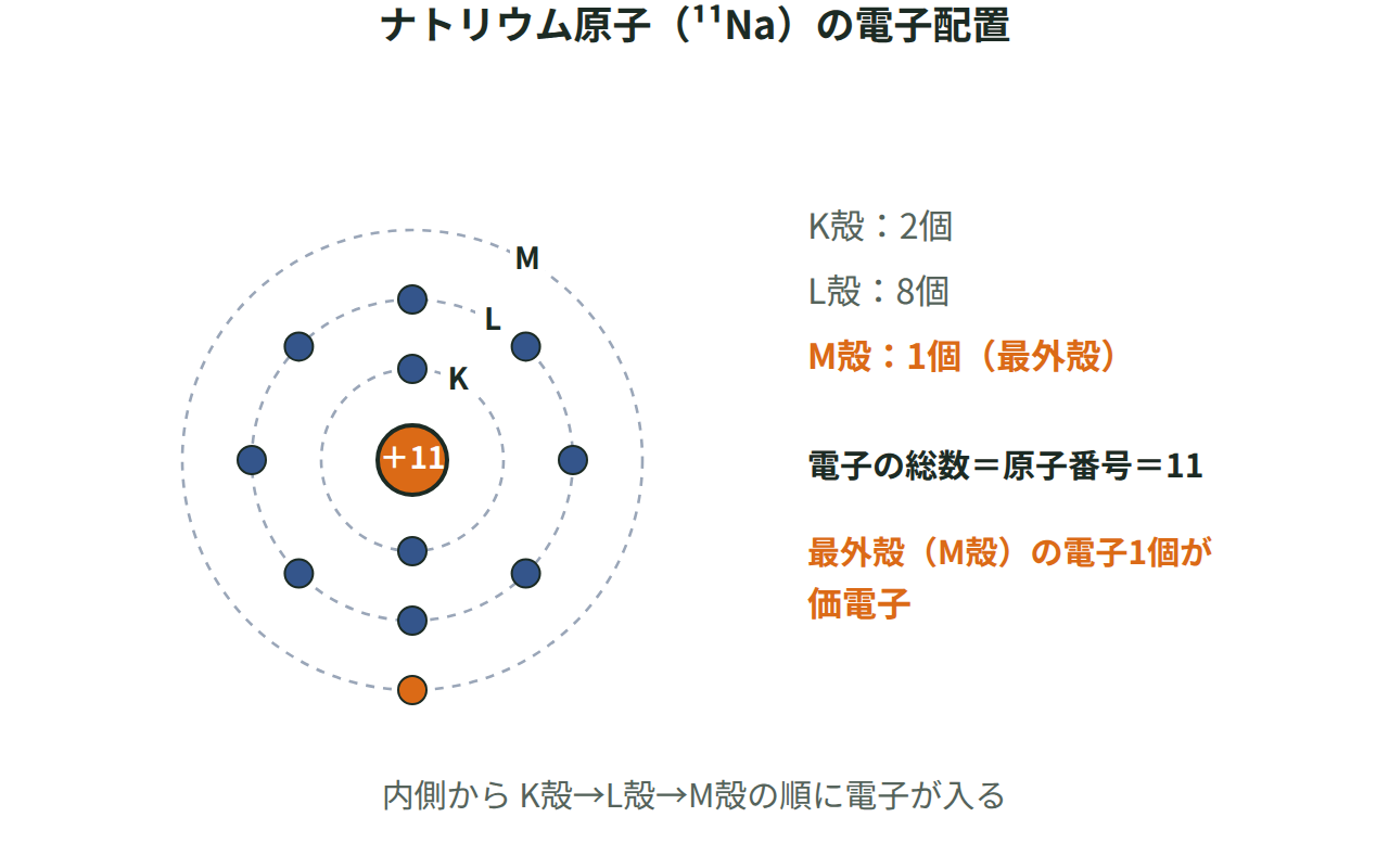 ナトリウム原子を例に、K殻・L殻・M殻へ電子が2個・8個・1個の順に入るようすを示した図