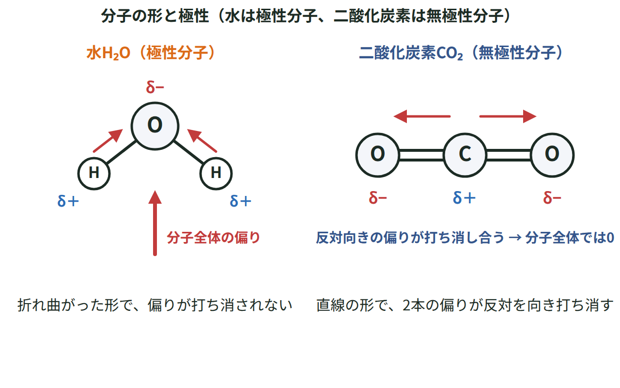 折れ曲がった水分子では結合の偏りが打ち消されずに残り、直線の二酸化炭素分子では2本の結合の偏りが反対方向を向いて打ち消される様子を比較した図
