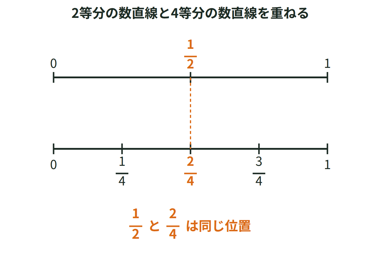 半分の数直線と4分の1の数直線を重ね、1/2と2/4が同じ位置にあることを示した図