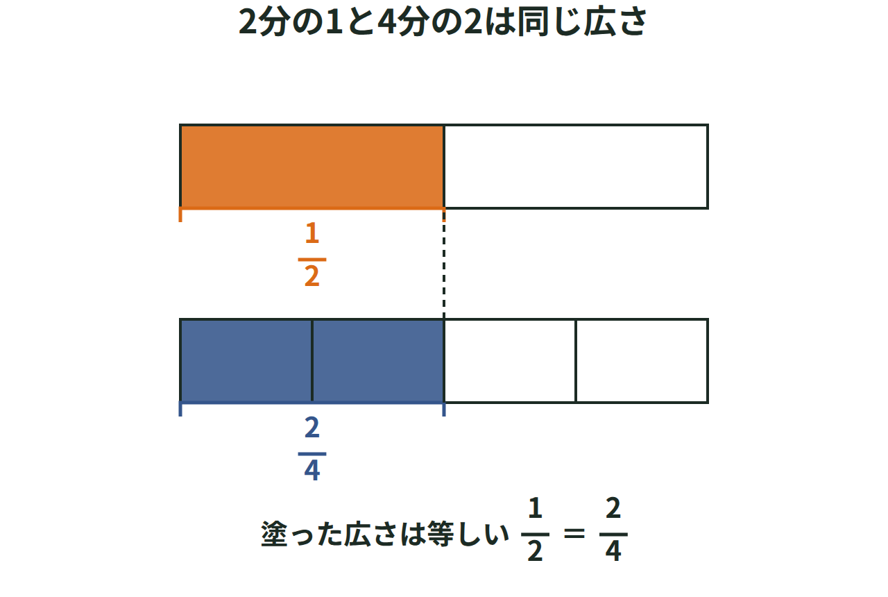 1/2の長方形と2/4の長方形が同じ広さであることを面積図で示した図