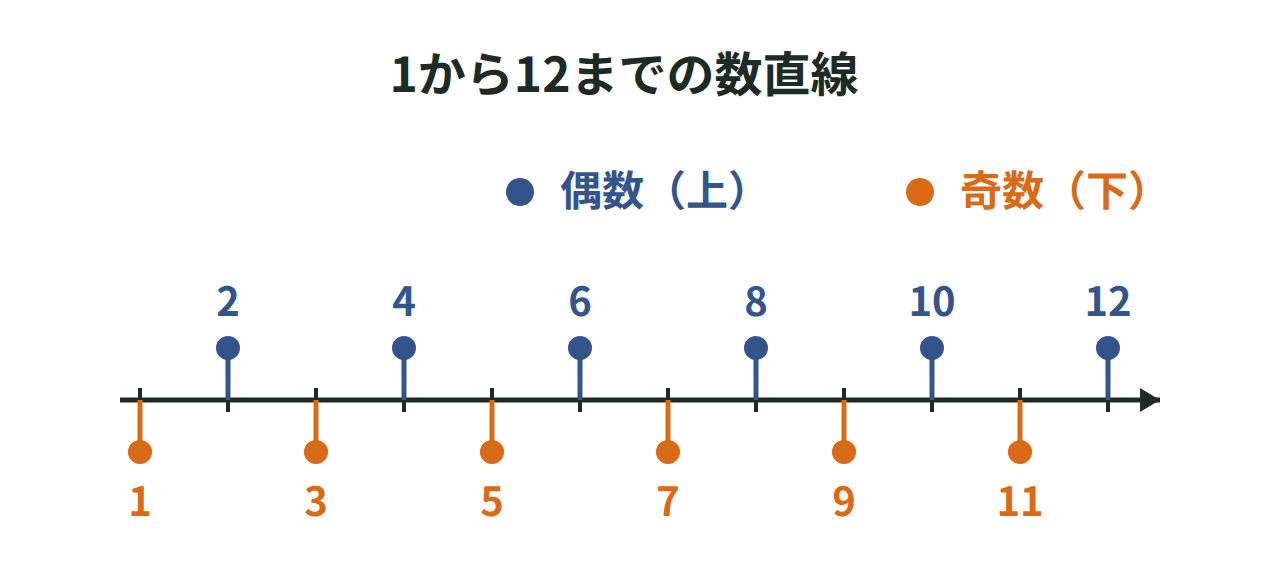 1から12までの数直線に偶数と奇数を色分けして示した図