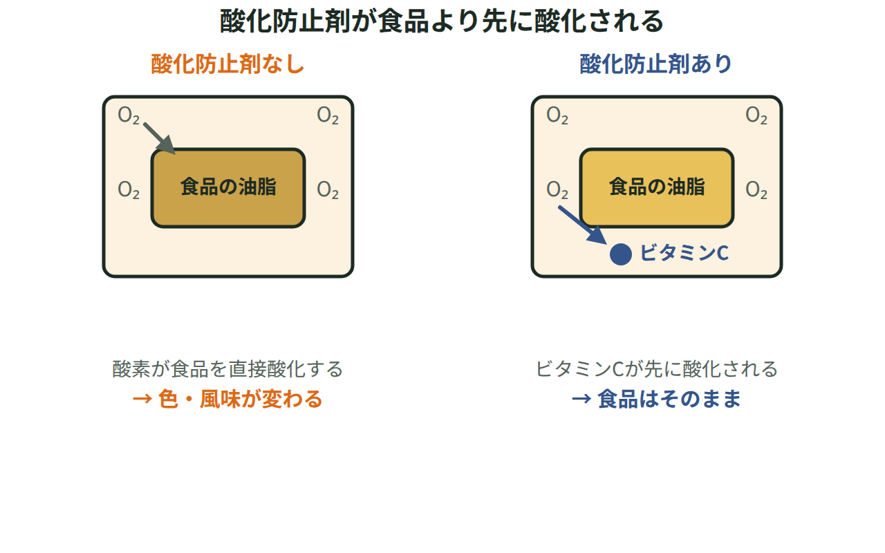 酸化防止剤が無い食品の油脂が酸素に直接酸化される様子と、ビタミンCが先に酸化されて食品が守られる様子を並べた図