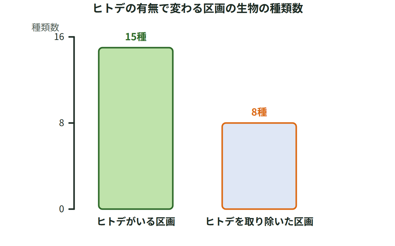 ヒトデがいる区画とヒトデを取り除いた区画で見つかった生物の種類数を棒グラフで比べ、取り除いた区画で種類数が大きく減ったことを示した図