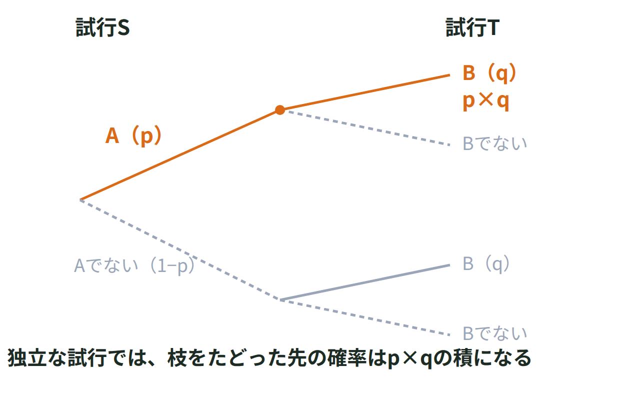 2つの独立な試行で確率pとqの枝が順に分かれ、積pqになることを示す樹形図
