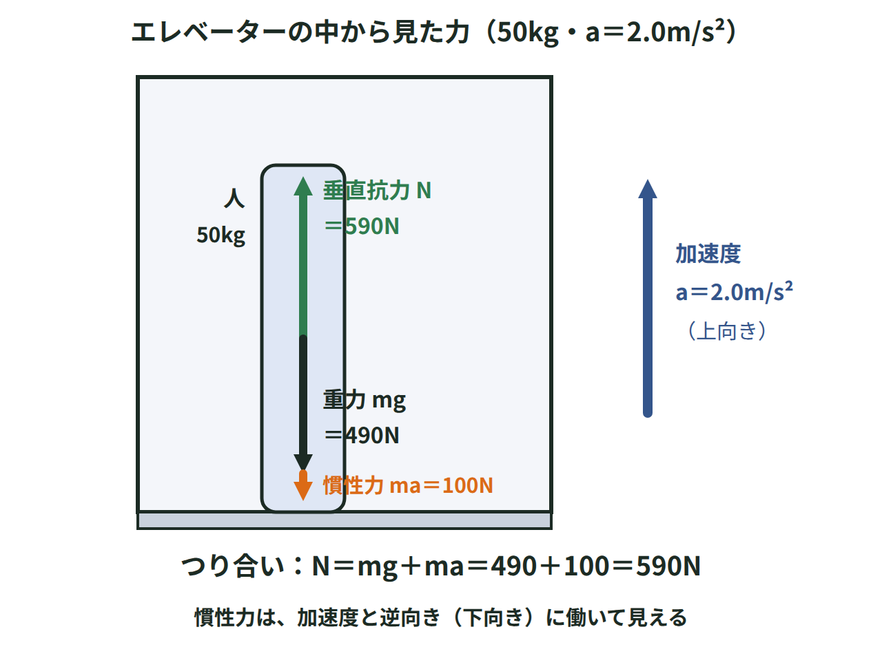 上向きに2.0m/s²で加速するエレベーターの中の50kgの人に、重力490N・下向きの慣性力100N・垂直抗力590Nが働いてつり合う様子を示した図