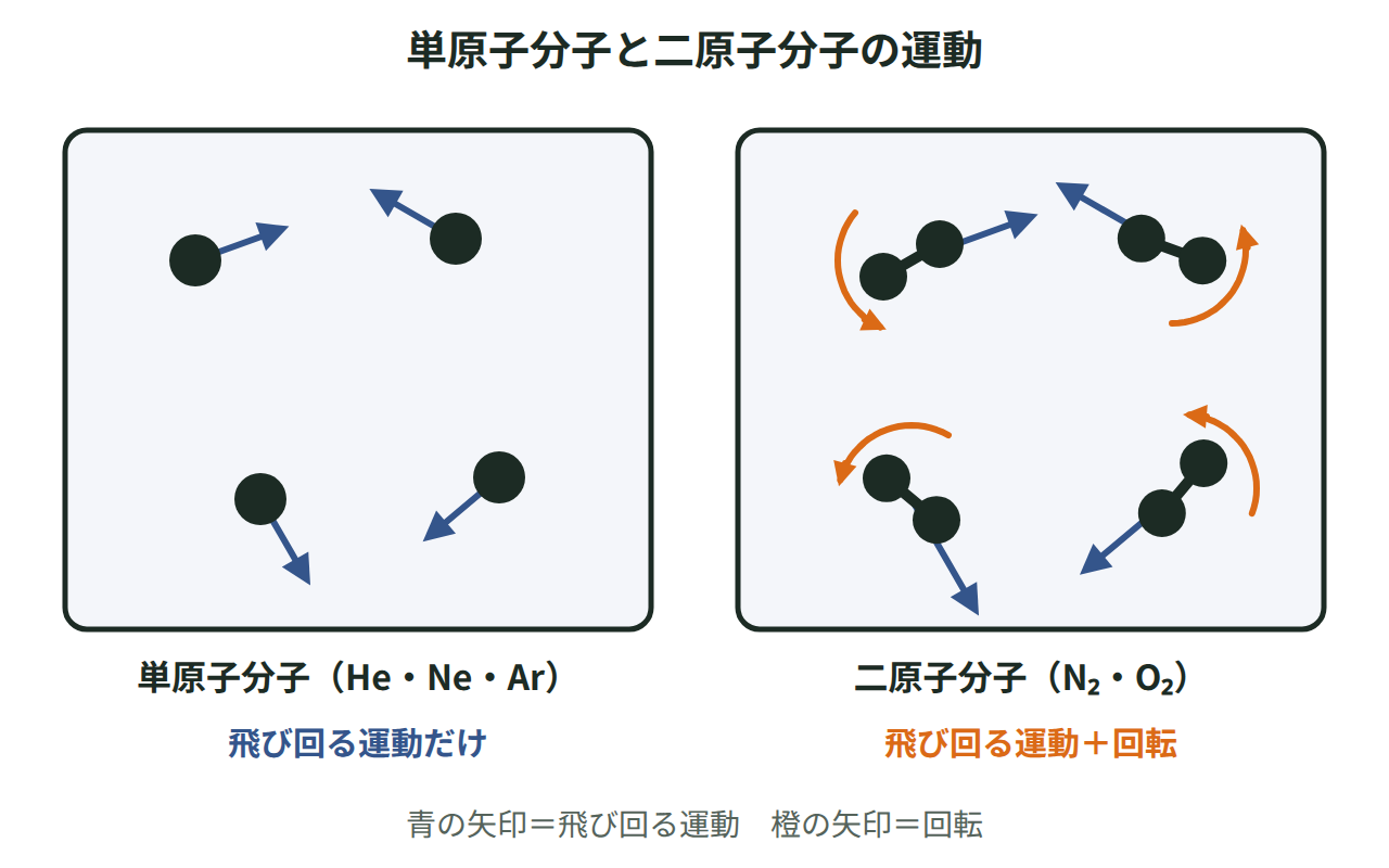 単原子分子は飛び回る運動だけをもち、二原子分子は飛び回る運動に加えて回転の運動ももつことを、矢印で比べた図