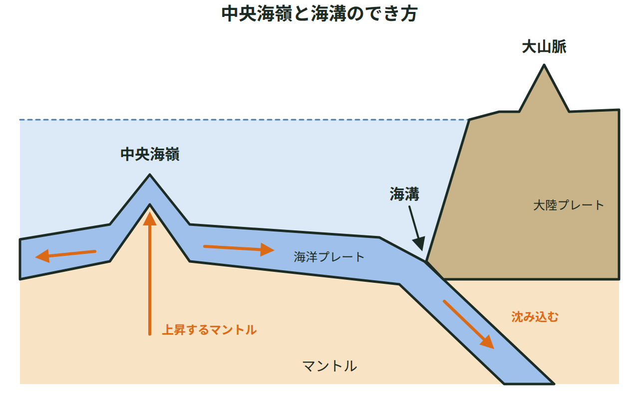 中央海嶺でマントルが上昇してプレートが両側へ広がり、そのプレートが海溝で大陸プレートの下へ沈み込み、そばに大山脈ができる様子を示した断面図