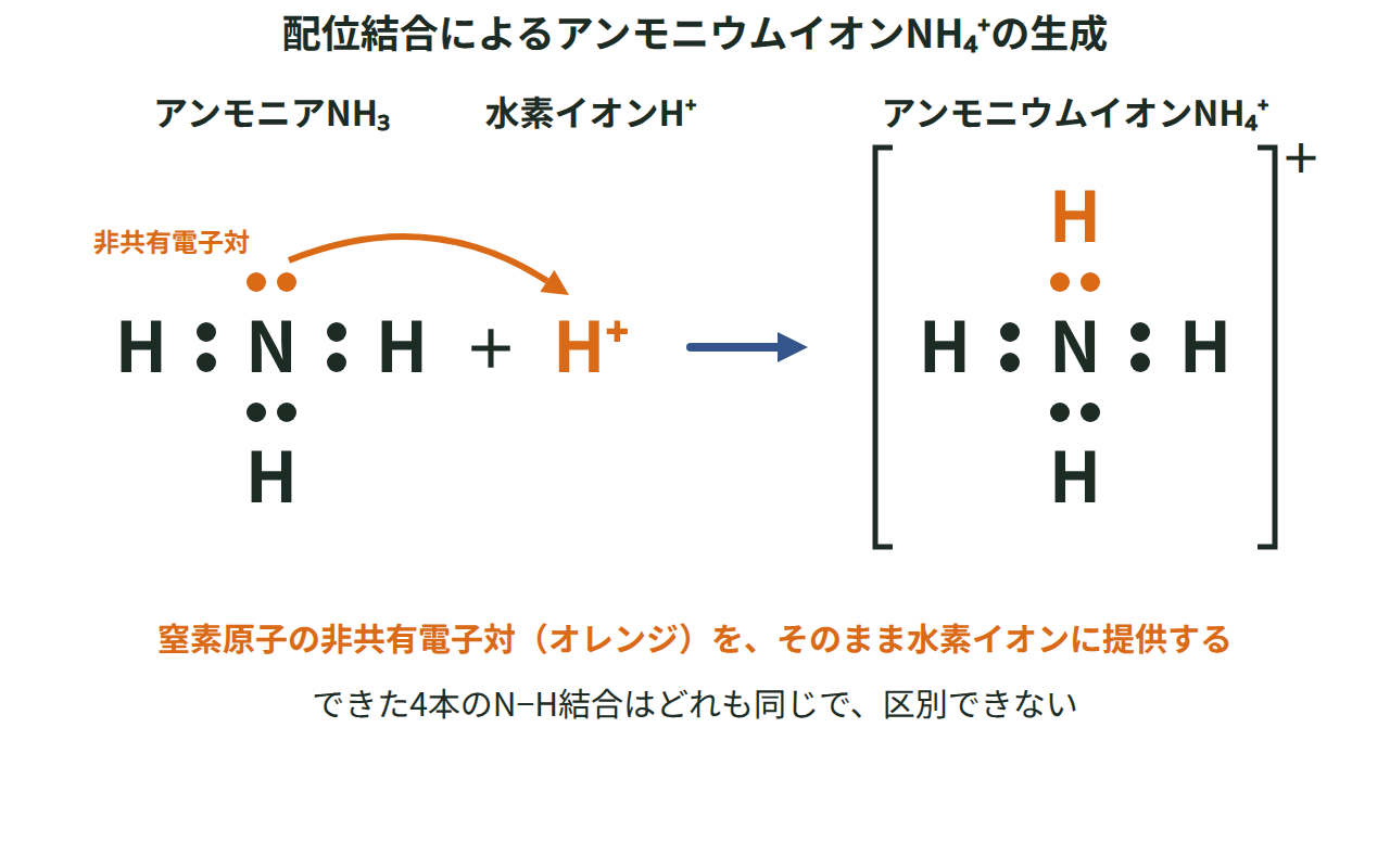 アンモニア分子の窒素原子にある非共有電子対を水素イオンに提供してアンモニウムイオンNH₄⁺ができる様子を示した図