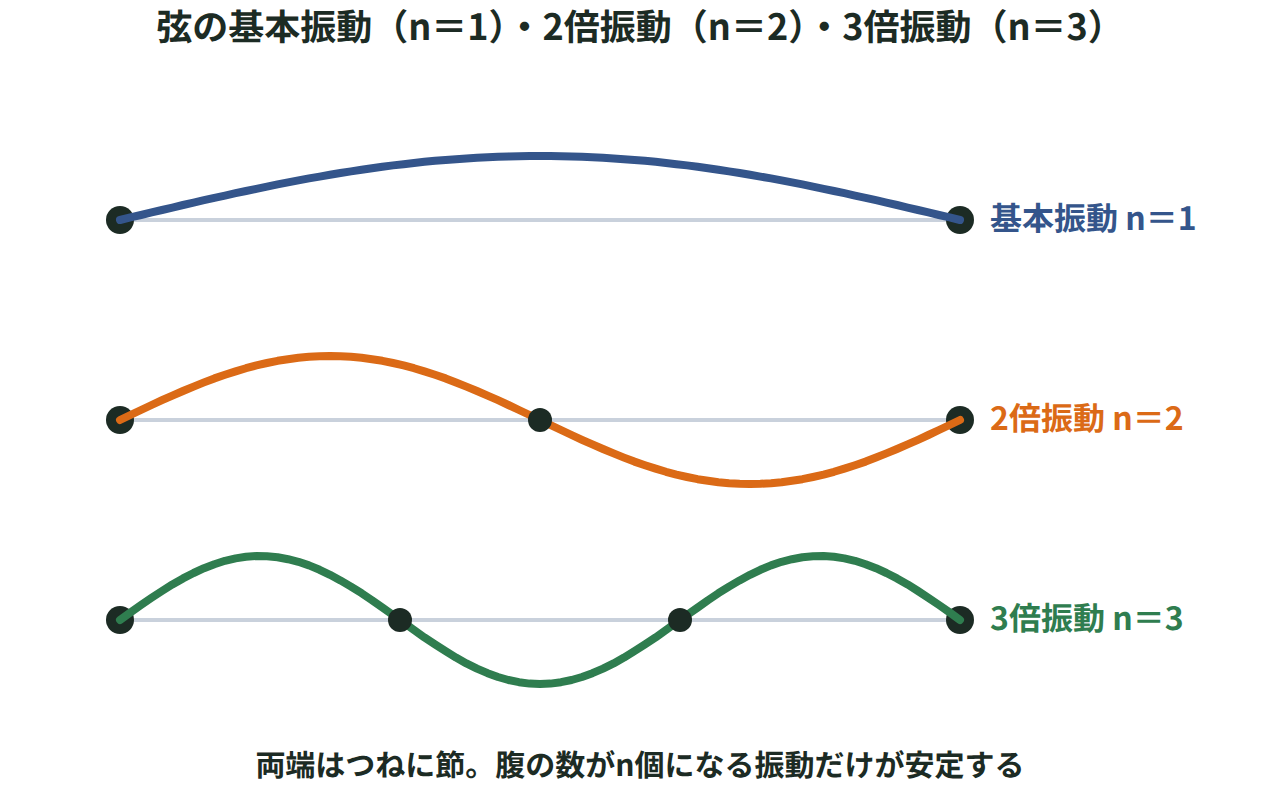 両端を固定した弦の基本振動（n＝1）・2倍振動（n＝2）・3倍振動（n＝3）を、腹と節の位置とともに並べた図