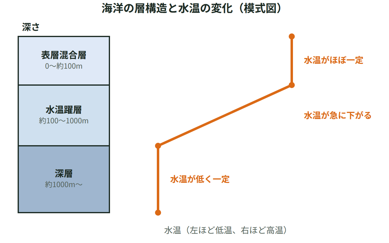 深さごとに表層混合層・水温躍層・深層を積み重ね、水温が変わるようすを折れ線で示した図