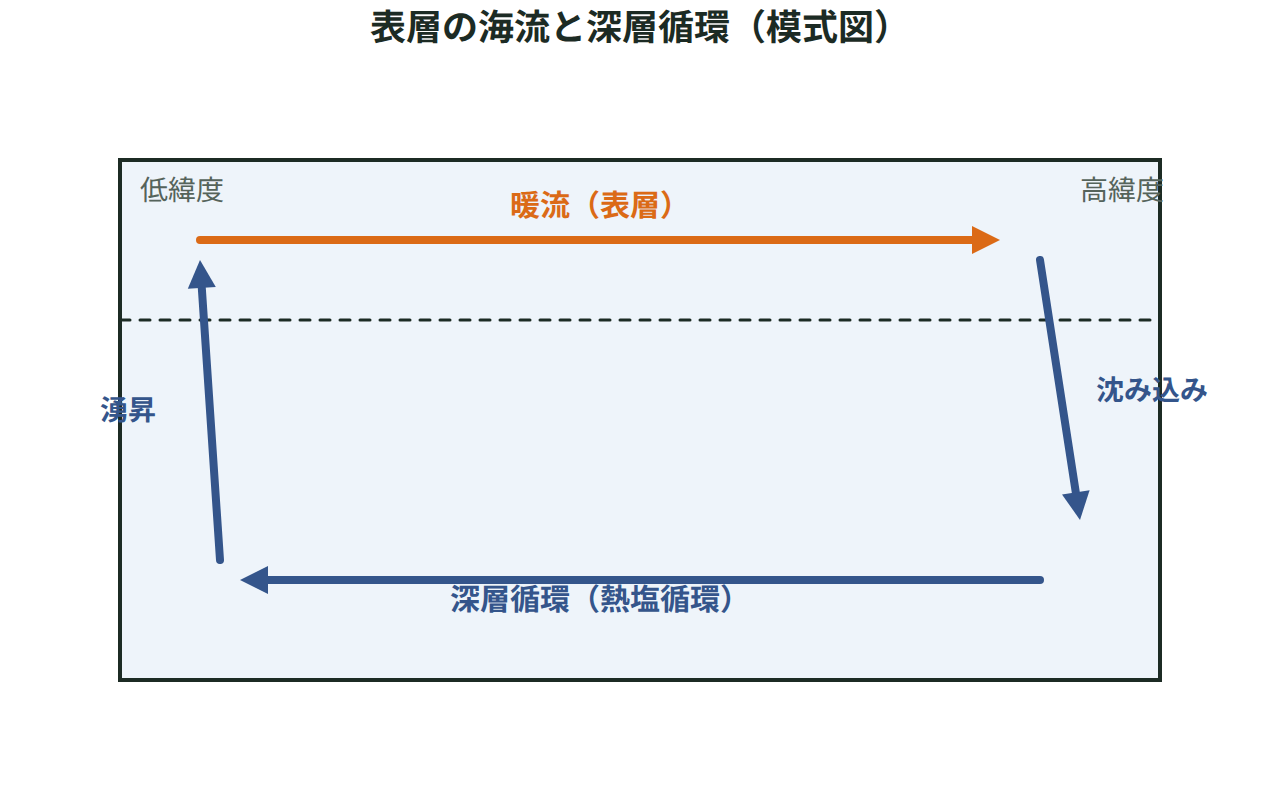 低緯度から高緯度へ向かう暖流と、高緯度で沈み込んで低緯度へ戻る深層循環を矢印で示した図