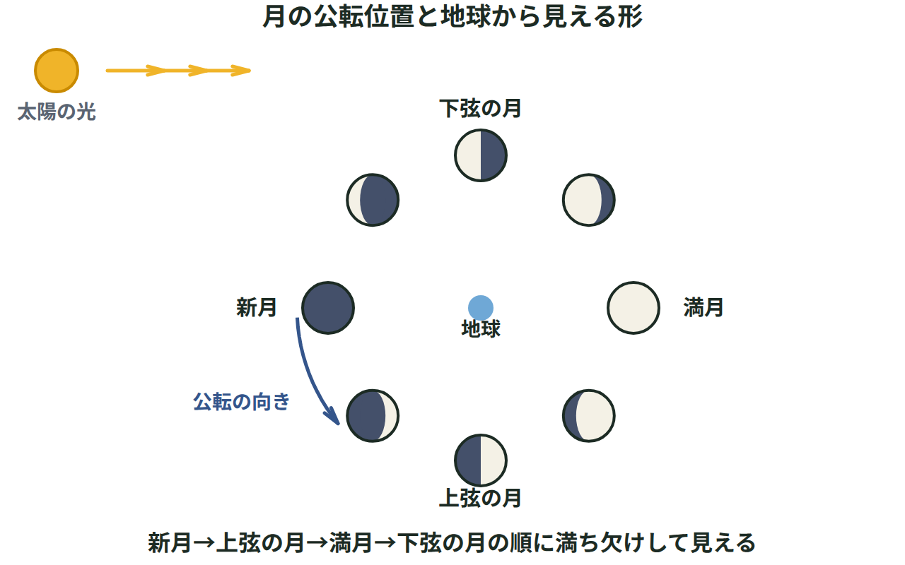 地球を中心に月の公転軌道上の位置を8つ示し、新月・上弦の月・満月・下弦の月の見える形を並べた図