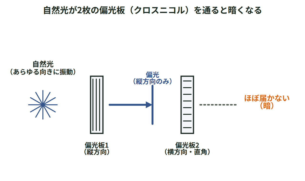 自然光が1枚目の偏光板で1方向の光になり、2枚目の透過軸が直角（クロスニコル）だとほとんど通らなくなる様子を示した図