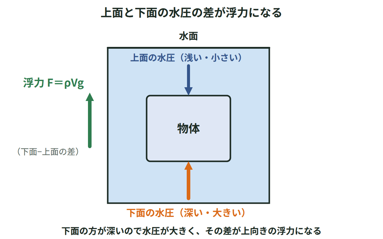 水中の物体の上面より下面の方が水圧の矢印が長く描かれ、その差が上向きの浮力F＝ρVgになることを示す図