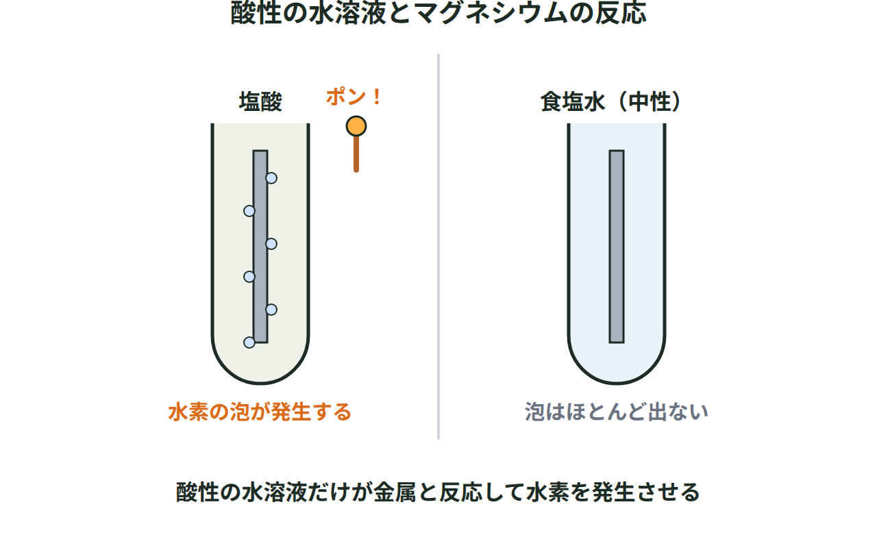 塩酸にマグネシウムリボンを入れて水素が発生する様子と、食塩水では泡が発生しない様子を比べる実験の図