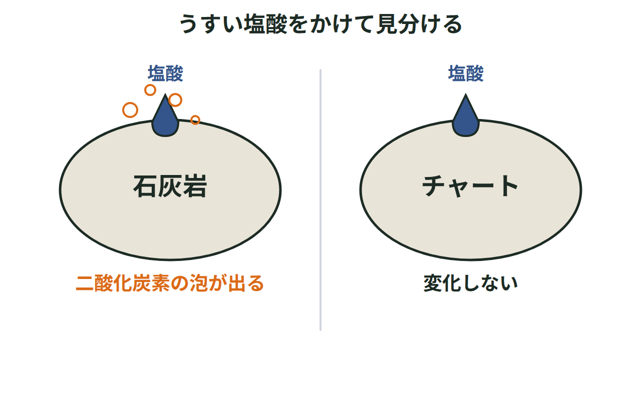 石灰岩とチャートにうすい塩酸をかけ、片方だけ二酸化炭素の泡が出る様子を示す図