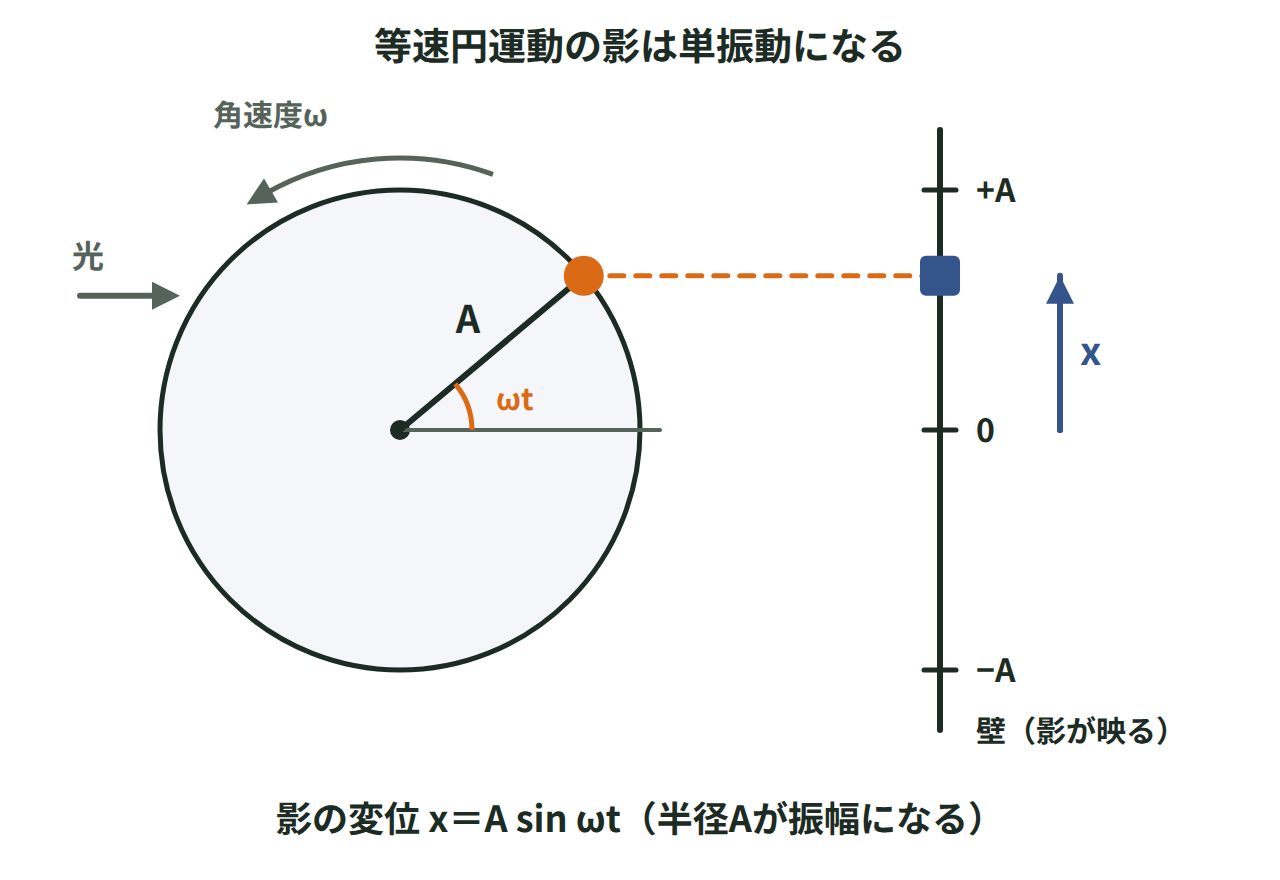 半径Aの円周上を角速度ωで回る点の影が直径上を往復し、変位がx＝A sin ωtになることを示した図