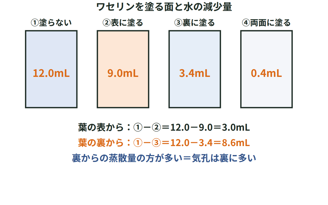 ワセリンを塗る面を変えた4本の枝を水に挿し、水の減少量から葉の表・裏・茎からの蒸散量をそれぞれ求める計算例題の図