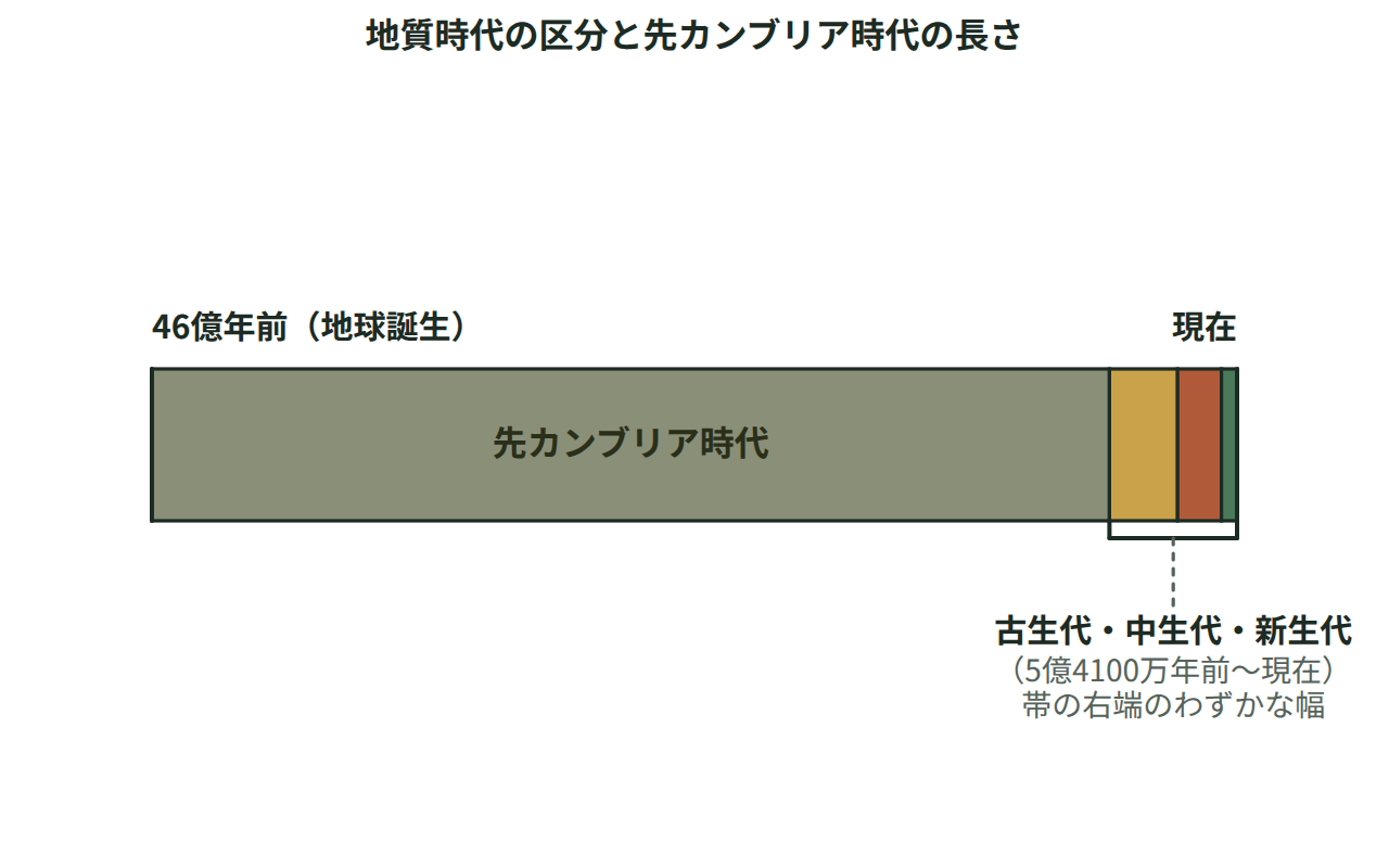 地球誕生の46億年前から現在までを1本の帯で表し、先カンブリア時代が帯の大部分を占め、残りが古生代・中生代・新生代に分かれることを示した地質時代の帯グラフ