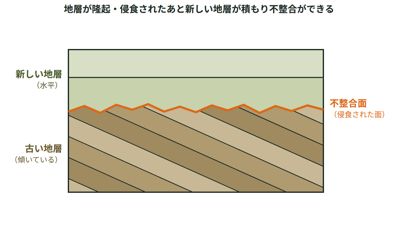 傾いた古い地層の上に侵食面を挟んで水平な新しい地層が重なった断面図で、新旧の境にできる不整合面を示す