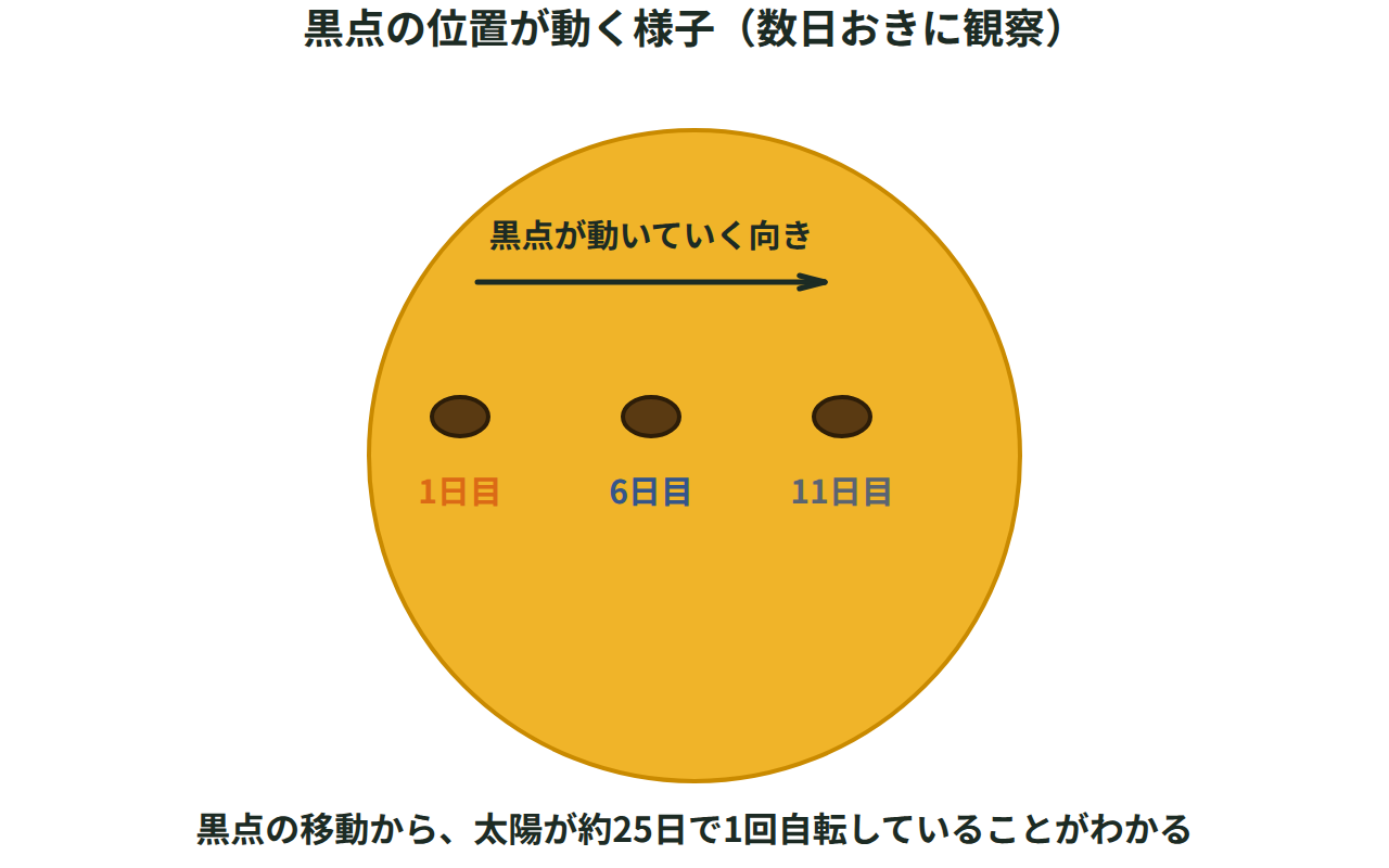 太陽の円い面の上で黒点の位置が数日おきに左から右へ少しずつ動いていく様子を示した図