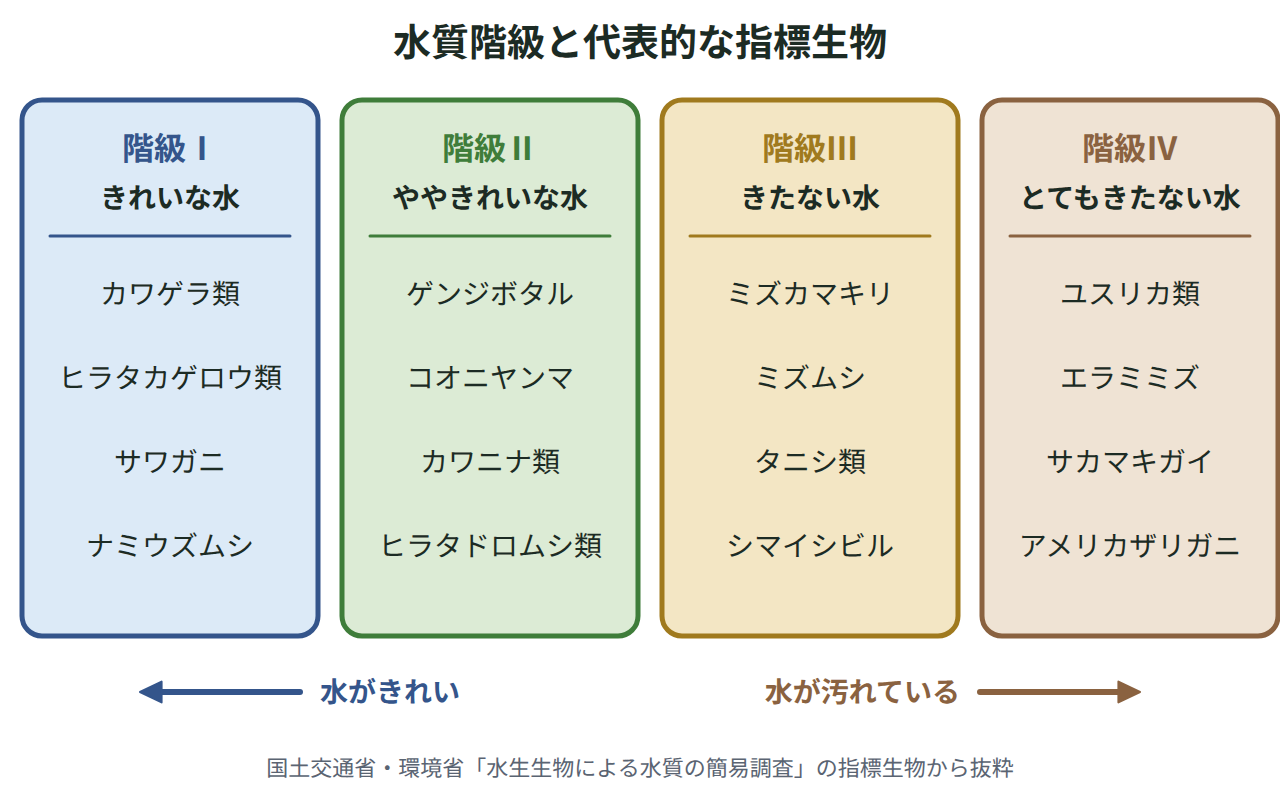 川の水質をきれいな水・ややきれいな水・きたない水・とてもきたない水の4つの階級に分け、それぞれの階級にすむ代表的な指標生物を並べた図
