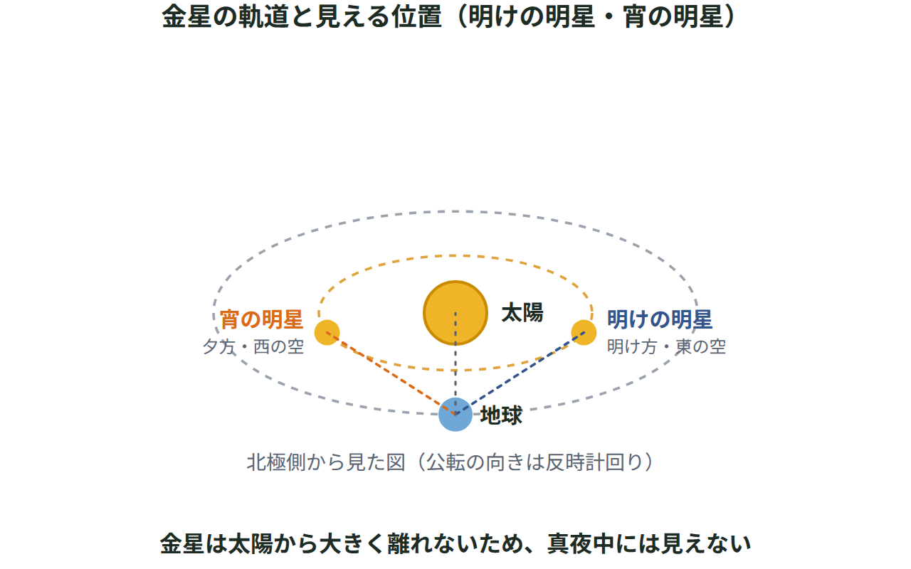 太陽を中心に地球の軌道と内側の金星の軌道をかき、明けの明星・宵の明星として見える金星の位置を示した図