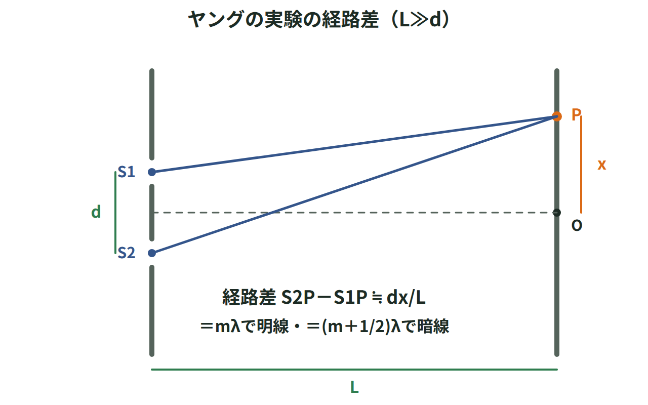 間隔dの複スリットから出た光がスクリーン上の点Pで重なり、経路差がdx/Lになることを示した図